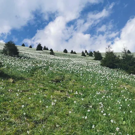 Holiday home Apartma Rekar - A House, Where Relax In The Embrace Of Nature Jesenice