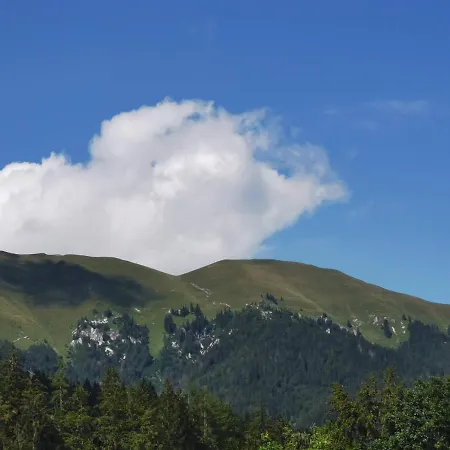Apartma Rekar - A House, Where Relax In The Embrace Of Nature *