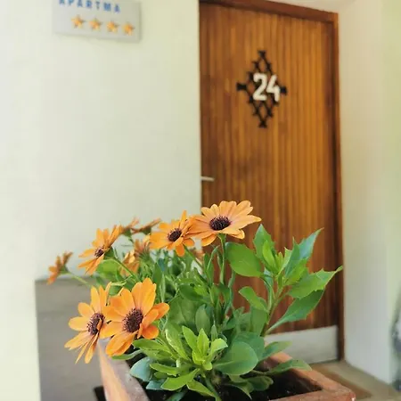Holiday home Apartma Rekar - A House, Where Relax In The Embrace Of Nature