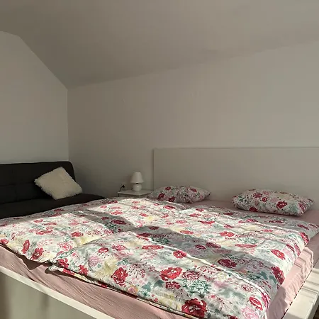 Apartma Rekar - A House, Where Relax In The Embrace Of Nature Jesenice