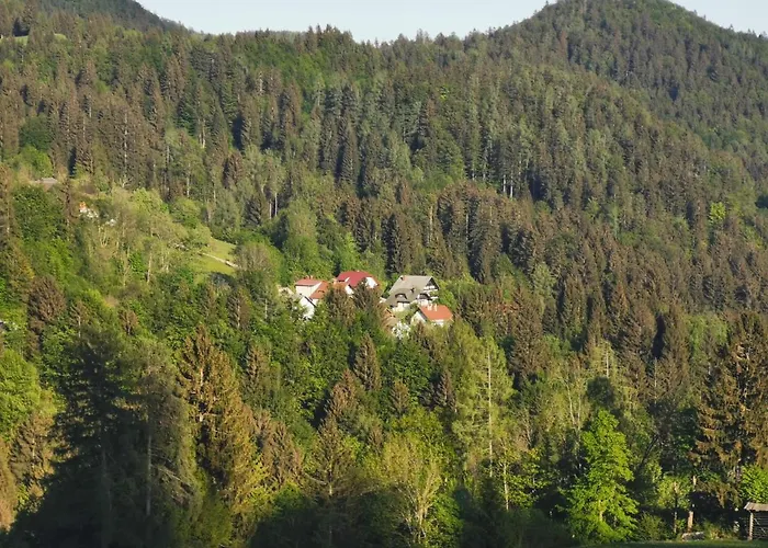 Apartma Rekar - A House, Where Relax In The Embrace Of Nature