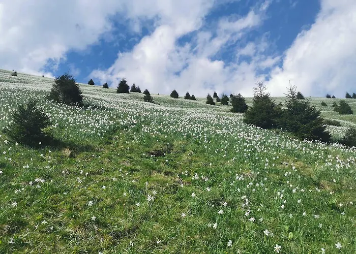 בית נופש Apartma Rekar - A House, Where Relax In The Embrace Of Nature יסניצה