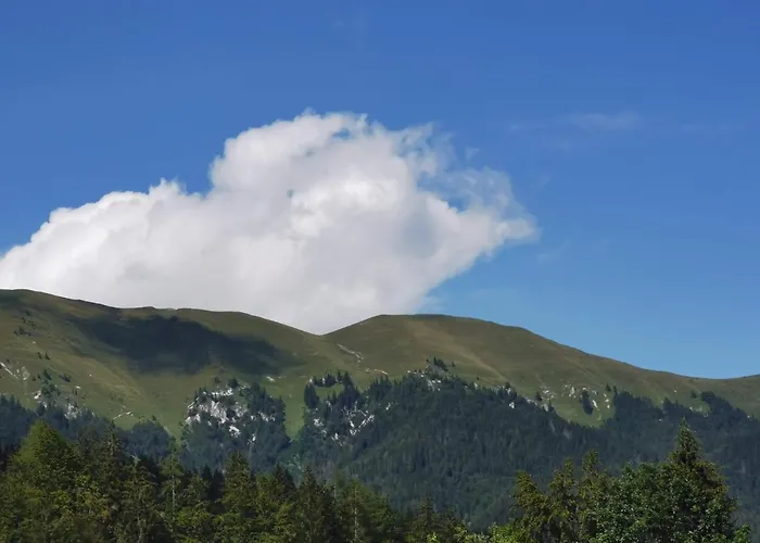 Apartma Rekar - A House, Where Relax In The Embrace Of Nature *