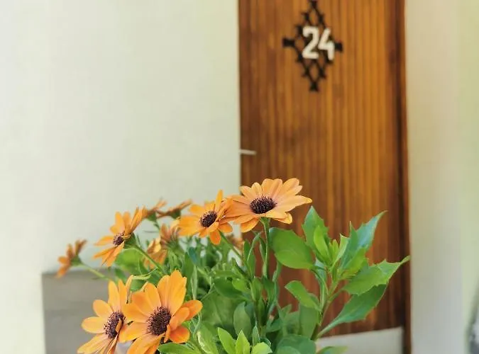 Dom wakacyjny Apartma Rekar - A House, Where Relax In The Embrace Of Nature