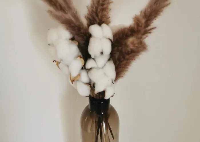 בית נופש Apartma Rekar - A House, Where Relax In The Embrace Of Nature יסניצה