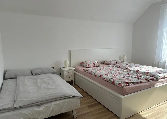 Apartma Rekar - A House, Where Relax In The Embrace Of Nature